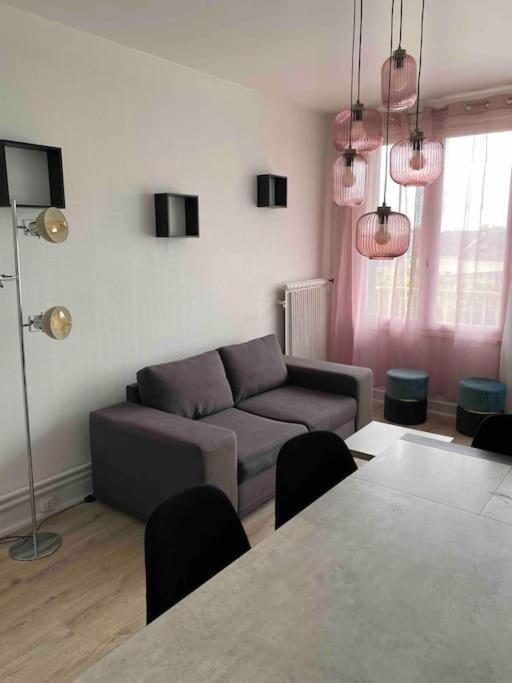 Bel Appartement Centre Ville De Vierzon Luaran gambar