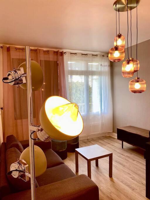 Bel Appartement Centre Ville De Vierzon Luaran gambar
